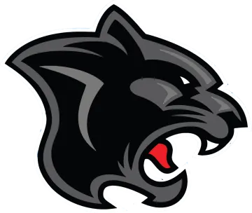 a black panther head with red eyes