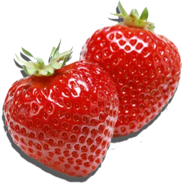 two strawberries on a white background
