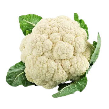 a head of caulia on a white background