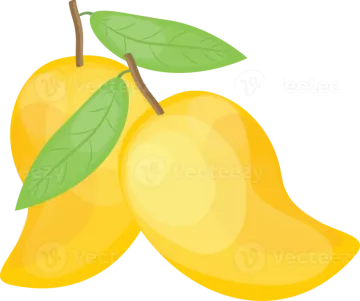 two yellow pears with leaves on a white background