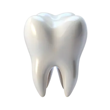 a tooth on a white background