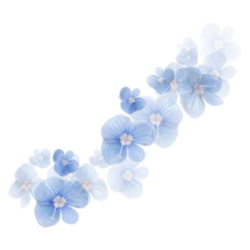 a blue flower on a white background