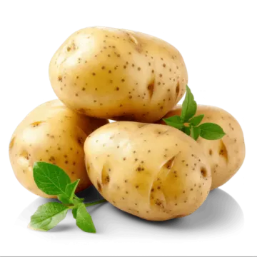 a pile of potatoes on a white background