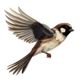 a bird that is flying in the air