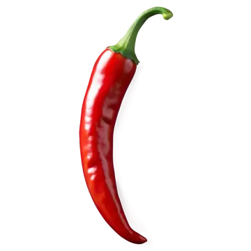 a red chili pepper on a white background