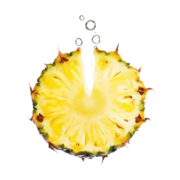 a slice of a pineapple