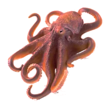 an octopus is sitting on a white surface
