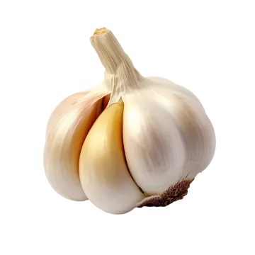 a close up of a garlic on a white background