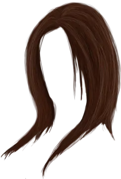 a drawing of a woman's hair