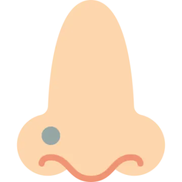 an illustration of the stomach