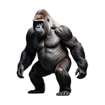 a gorilla standing on its hinds