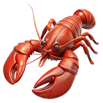 a red lobster on white background