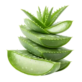 a pile of aloea leaves on a white background