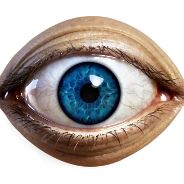 a close up view of an eye