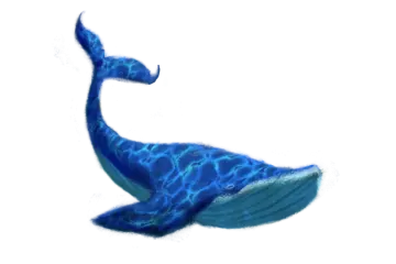 a drawing of a blue whale