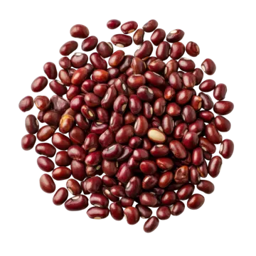 a pile of beans on a white background