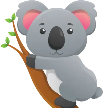 a koloa sitting on a tree branch