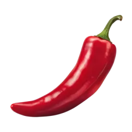 a red pepper on a white background