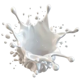 a splash of milk on a white background