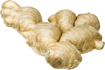 a bunch of ginger root on a white background