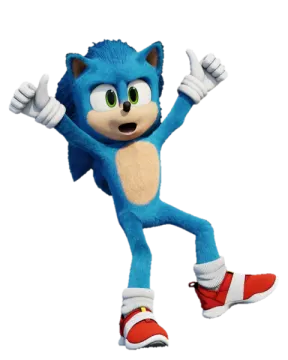 sonic the hedge