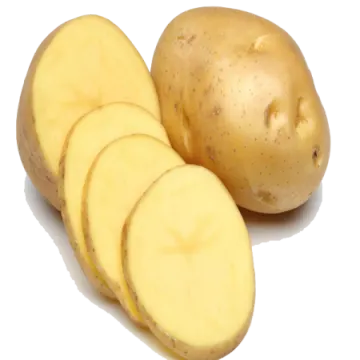 a potato cut in half on a white background