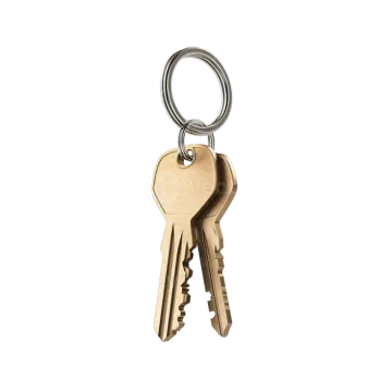 a bunch of keys on a white background