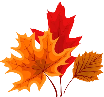 a pair of autumn leaves