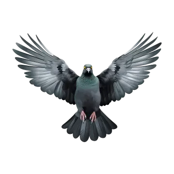 a bird that is flying in the air