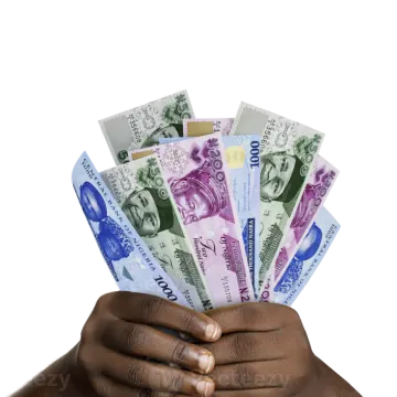 a person holding money in their hands