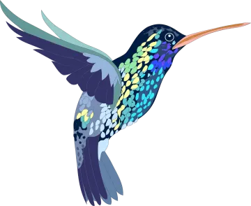 a colorful humming bird flying in the air