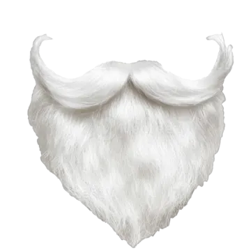 a white beard with long white hair