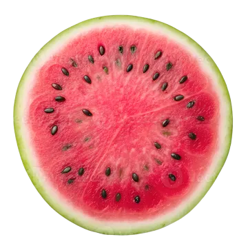 a slice of watermelon with seeds