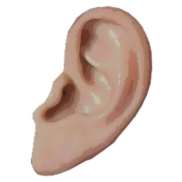 an ear with a small hole in the middle