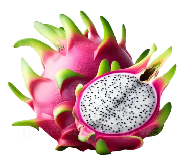 dragon fruit on a white background