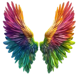 an image of a rainbow colored wing