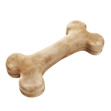 A bone on a white background