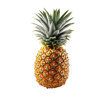 a pineapple on a white background