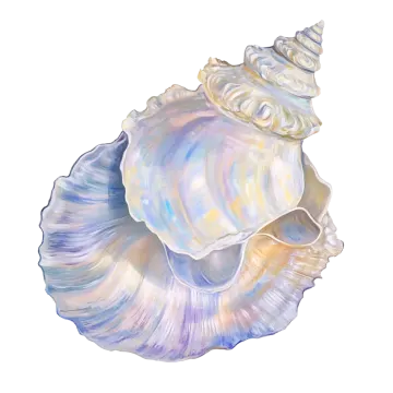 a watercolor painting of a seas shell