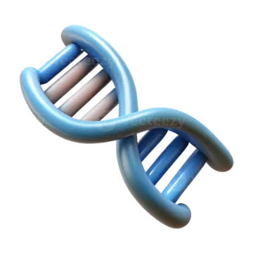a 3d model of the double helix chromosome