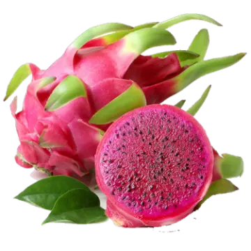 dragon fruit on white background