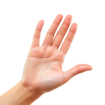 a woman's hand showing the number one on her palm