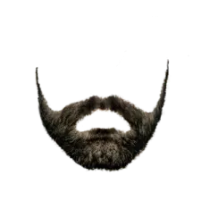 a close up of a beard on a white background