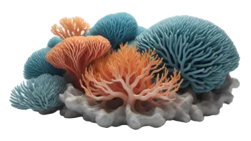 a group of corals in the ocean
