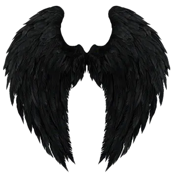 a pair of black angel wings