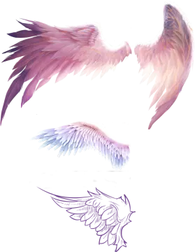 a drawing of a pair of wings