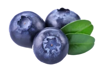 blueberries with leaves on white background