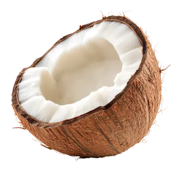 a whole coconut on a white background