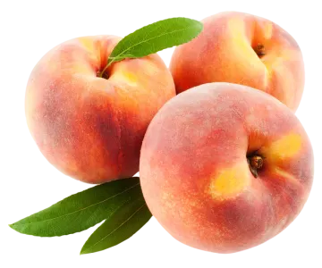 three peaches with leaves on a white background
