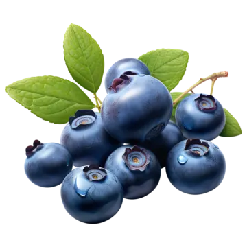 a bunch of blueberries with green leaves